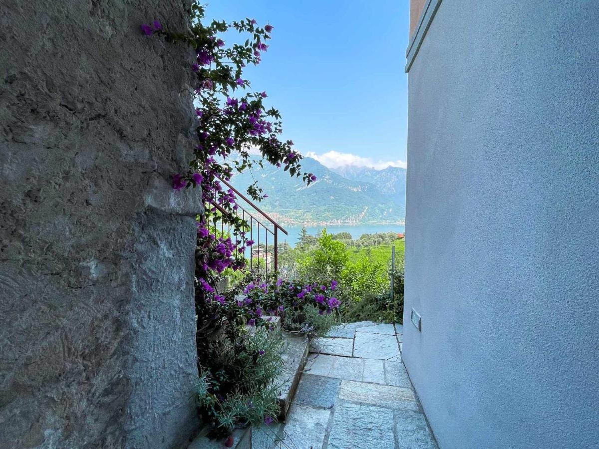 Antico Torchio Apartment Limonta Екстер'єр фото